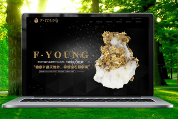 �տ��������ﱦʯ